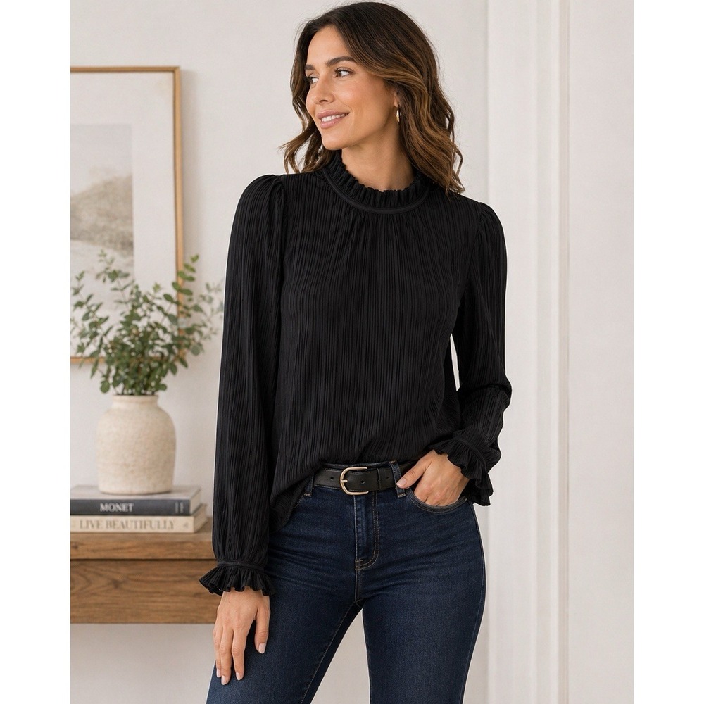Evereve Blouse XS Black Pleated Mock Neck Romantic Boho Chic Ruffle Top